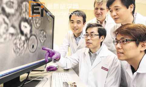 20140124091158815-1 南洋理工大学生物科学院 Malaria