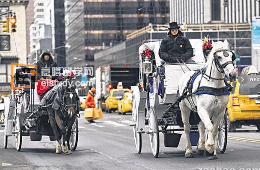 纽约马车可能很快就会消失