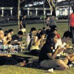 新加坡国立大学“双情人节”以花识人