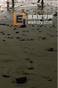 20140509025046883-3 加拿大留学 在卡莫森学院可以转学到维多利亚大学