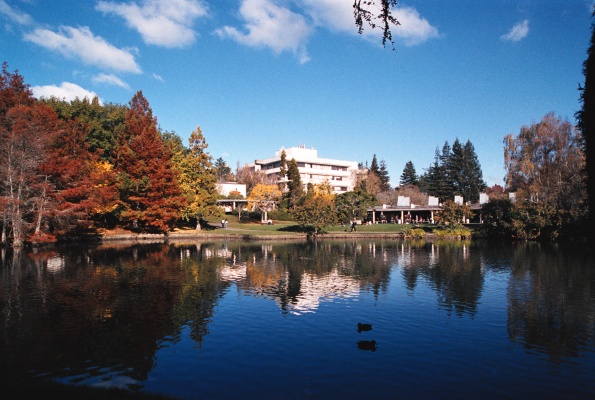 新西兰八所知名大学，国际学生最全指南