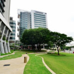 新加坡医学院