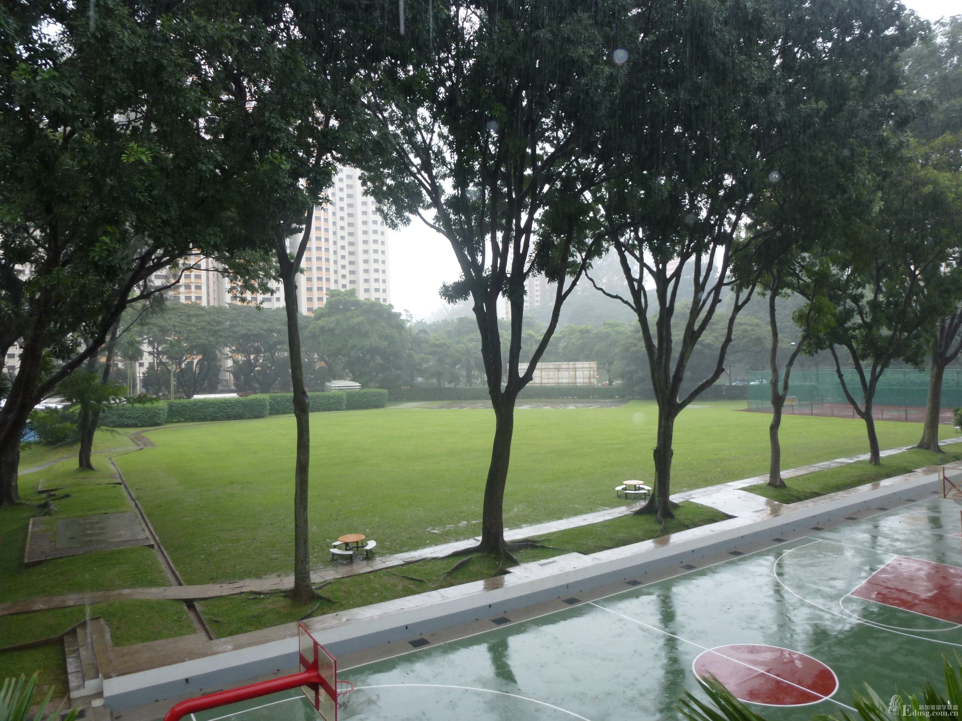 新加坡PSD学院