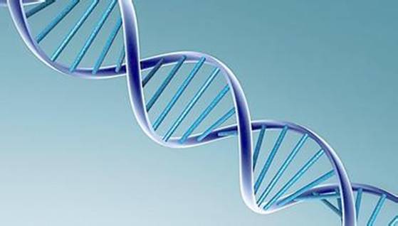 澳洲留最受欢迎的专业 澳洲留最受欢迎的专业