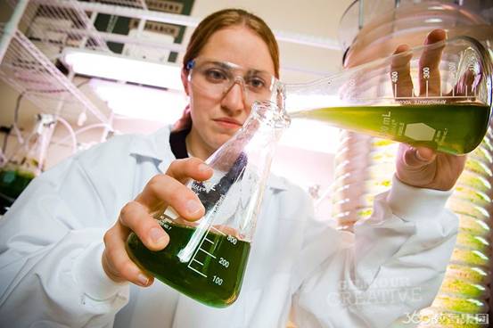 澳洲工程类专业 澳洲工程类专业