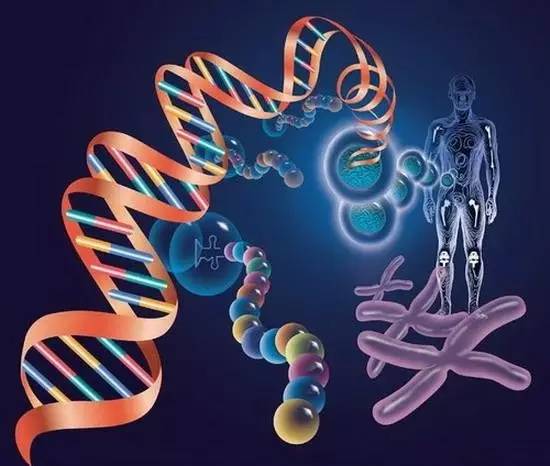 澳洲难学专业