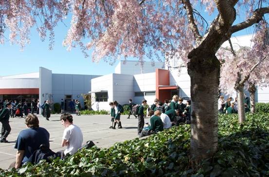 详解新西兰高中课程