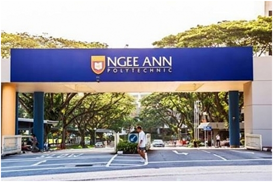 新加坡五所著名理工学院专业