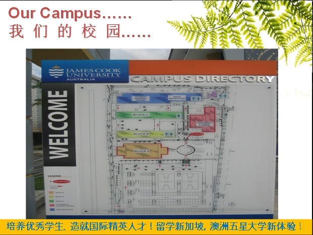 詹姆斯库克大学新加坡分校