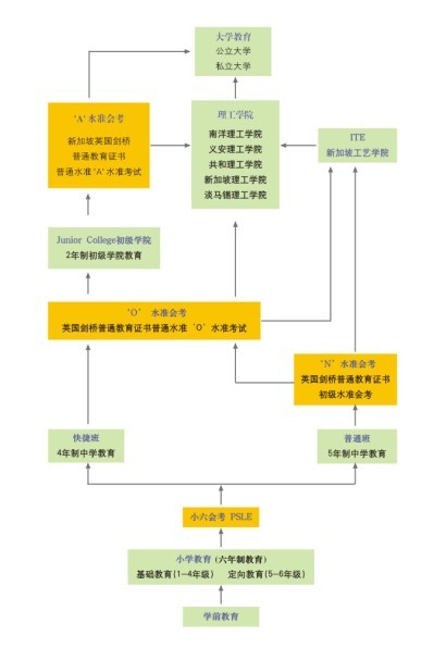 新加坡制育体制 新加坡制育体制