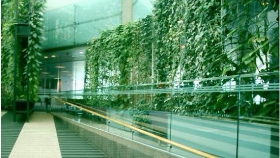 新加坡留学网 新加坡留学网