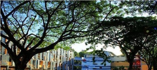 新加坡PSB学院 新加坡PSB学院