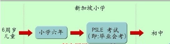 新加坡小学留学
