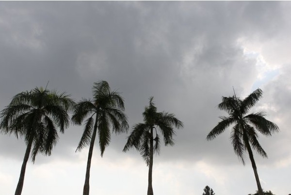 新加坡留学网www.eistudy.com 新加坡留学网www.eistudy.com