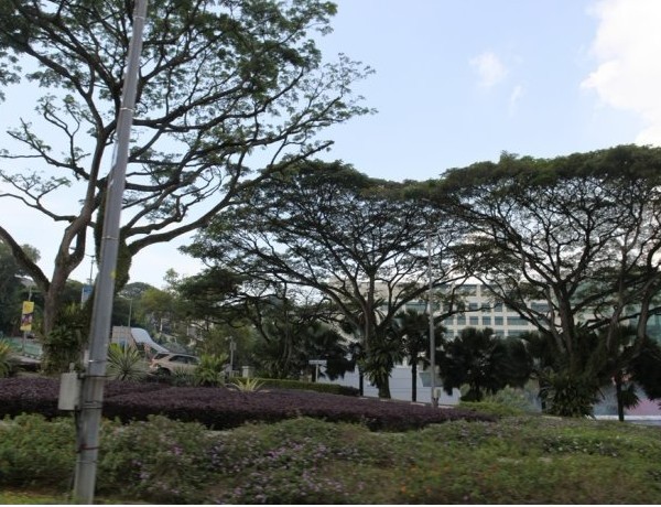 新加坡留学网www.eistudy.com 新加坡留学网www.eistudy.com