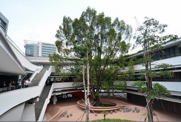 新加坡国立大学 新加坡国立大学