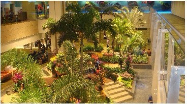 新加坡亚奥学院 新加坡亚奥学院