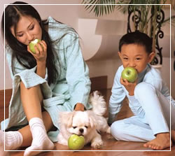 新加坡幼儿园陪读