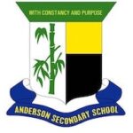 安德森中学