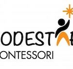 Lodestar Montessori学校